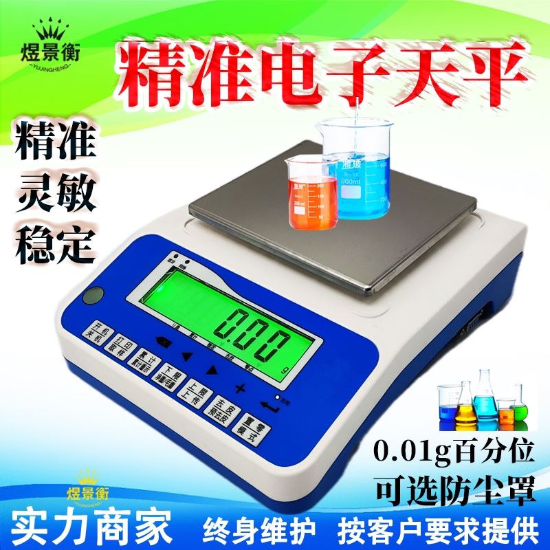 带RS485MDOBUS RTU通讯协议电子天平高精度