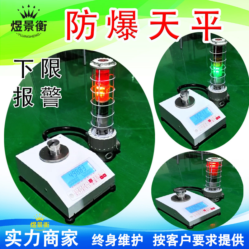 可设置上下限报警灯防爆电子天平秤自动检重