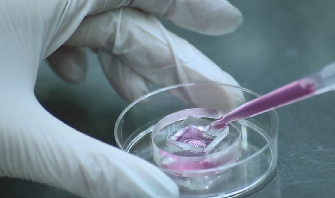 非临床研究与生物样本检测