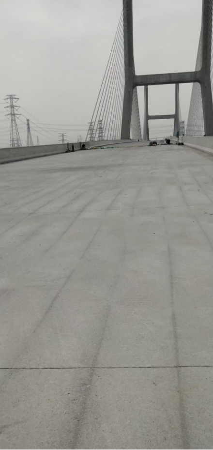 广东佛山（龙翔大桥）中铁大桥局  5万平方（桥面抛丸）