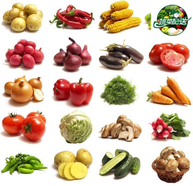 蔬菜配送的未来发展