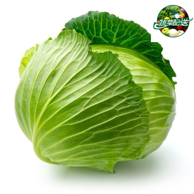 蔬菜配送中心服务领域有哪些