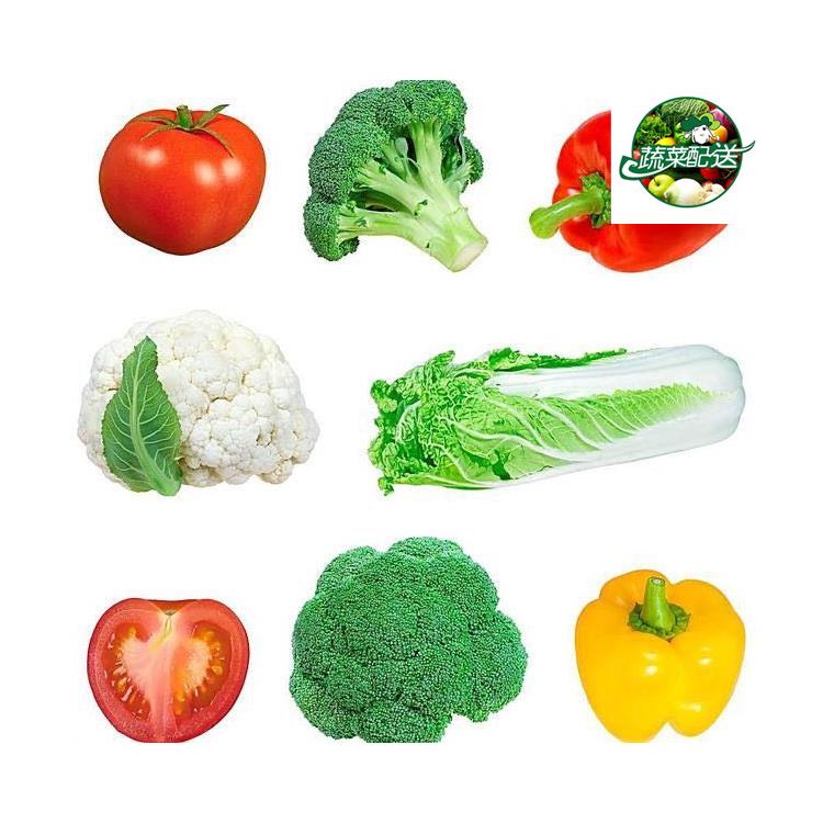 专业的蔬菜配送服务