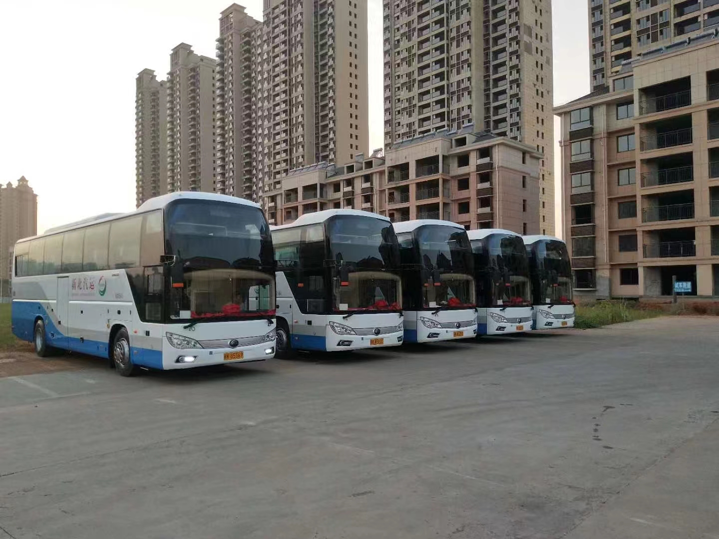 深圳旅游租车价格南山旅游租车南山租大巴车婚车车辆出租价格