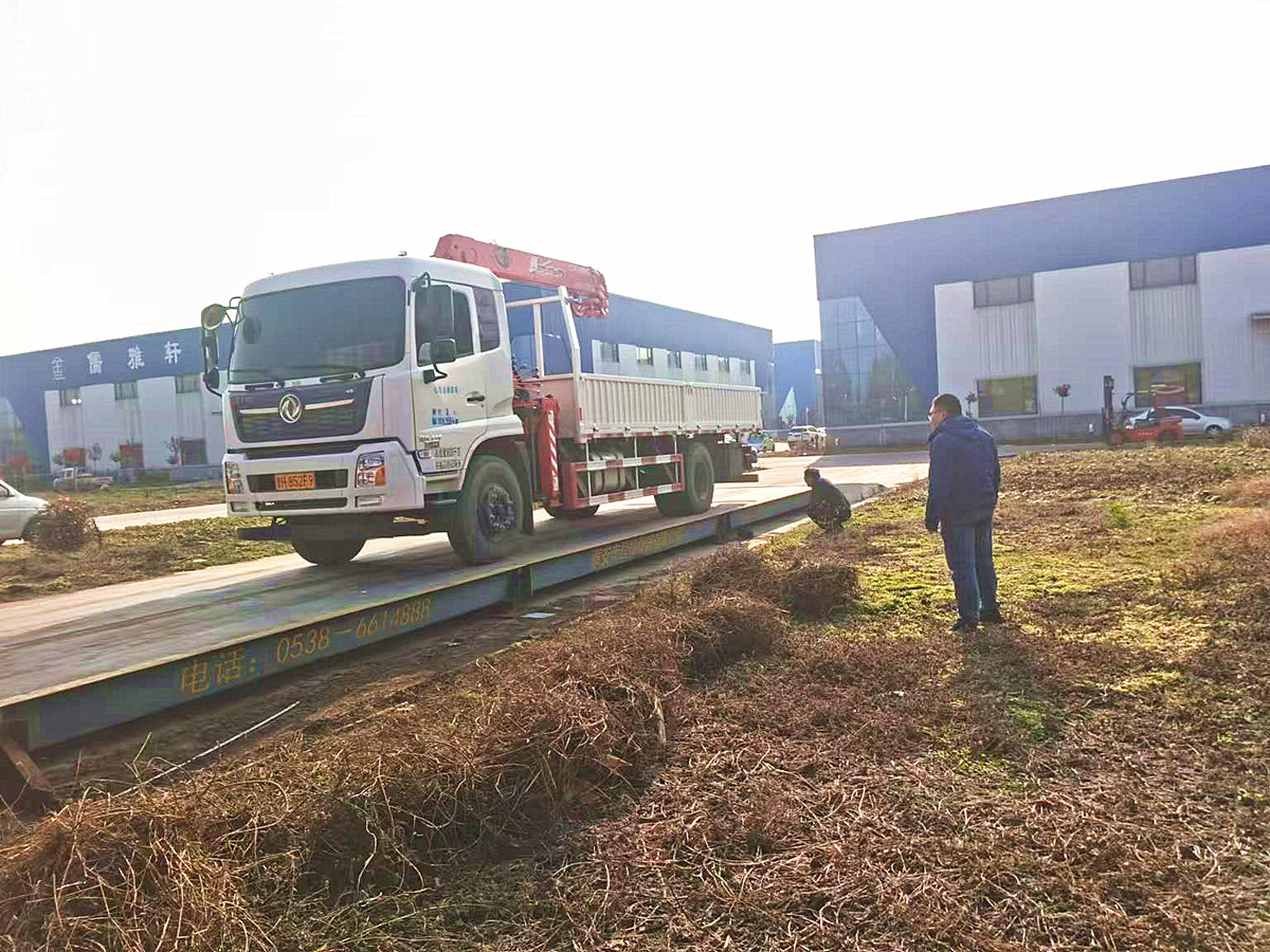 提升物流效率与精度——山东海虹电力（集团）有限公司新建厂房引入先进电子地磅系统