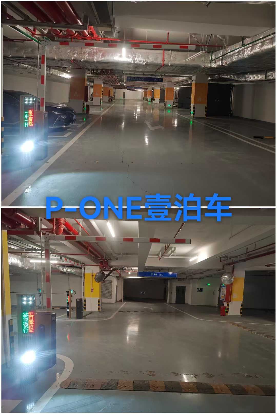 微信图片_2026-02-01_114247_896