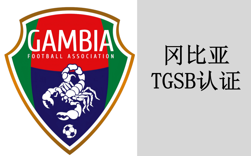 出口康明斯发电机组至冈比亚的清关方式与税费单证